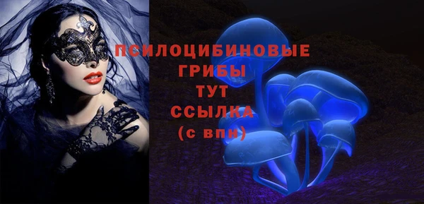 бутират Баксан